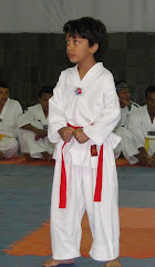 11° campeonato mineiro 2011