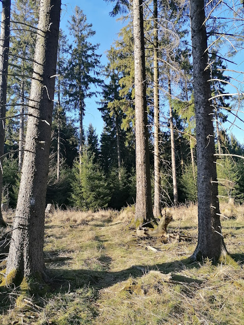 Sauerland wandern Wetter blog Olsberg