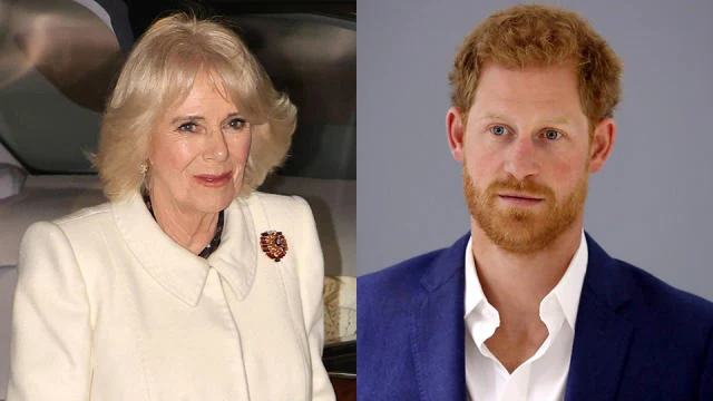 Harry's Surprising Step Toward Reconciliation with Queen Camilla