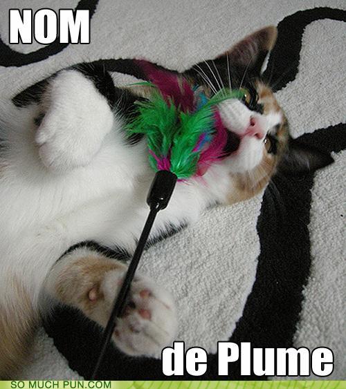 Funny Pictures Nom Nom Nom. daily LOLcat hilarity