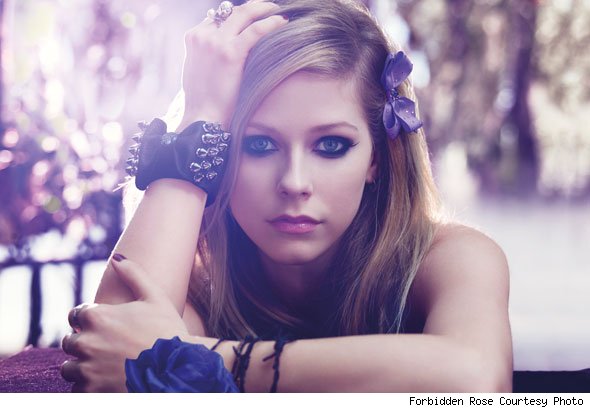 Forbidden Rose by Avril Lavigne