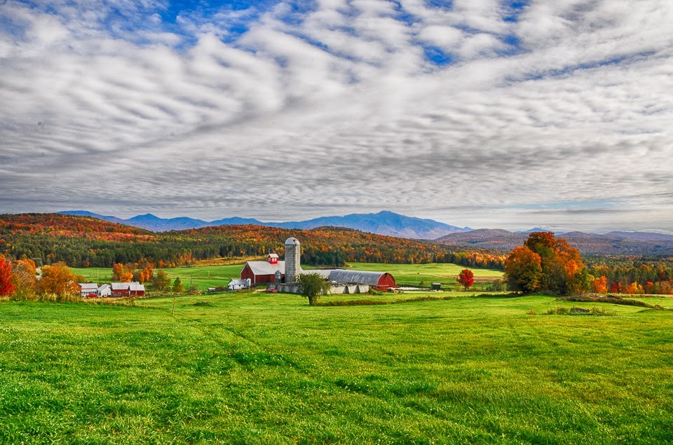 sharp cheddar farm-