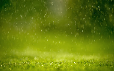 Green rain free download desktop wallpaper