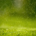 Green rain free download desktop wallpaper