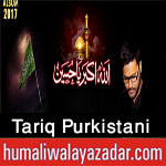 http://www.humaliwalayazadar.com/2017/09/tariq-purkistani-nohay-2018.html