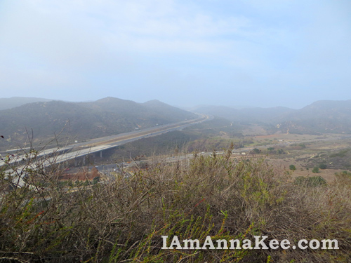 James Dilley Preserve Hike