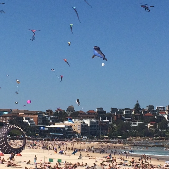 Kite fest on Bondi Beach