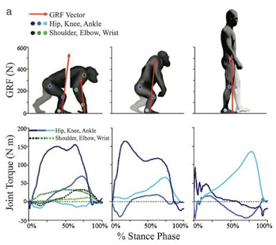 Abiogenesis on Eine Kleine Nattermusing  Evolution Of Bipedalism