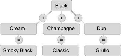 Chart of black base color with simple dilution alleles added