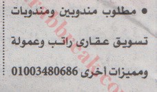 اهم وافضل الوظائف اهرام الجمعة وظائف خلية وظائف شاغرة على عرب بريك