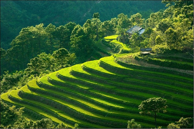 Du lịch Lai Châu