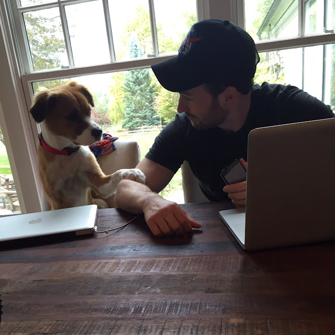 Captain America Chris Evans And Dog Dodger Finally Reunited : キャプテン・アメリカが帰って来た ! !、2か月以上も留守だったクリス・エヴァンズの帰宅に大ハシャギの愛犬ドジャーの熱烈なお迎えぶりをお楽しみください ! !