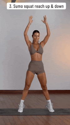 Full Body Workout at Home without Equipment