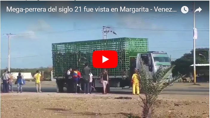 Mega-perrera del siglo 21 fue vista en Margarita - Maduro y sus cosas!