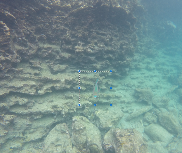 Snorkel en San Bartolomé, Galápagos