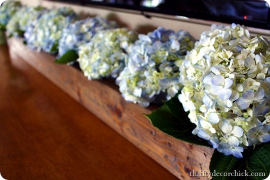 hydrangea in wood box