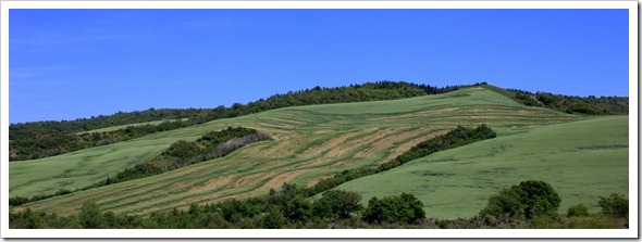 IMG_8118