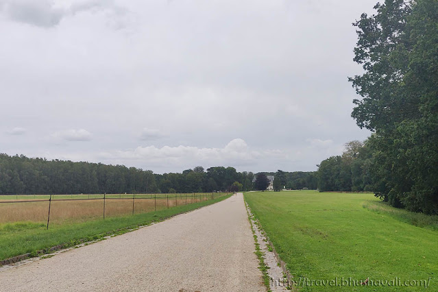 Chateau de la Hulpe - Sonian Forest