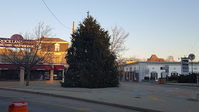 Christmas tree on the triangle in downtown Franklin