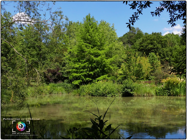 GELAUCOURT (54) - Jardin d'eau de l'Aubepré