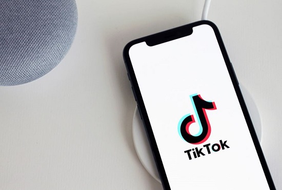 Cara  Download Video Tiktok Tanpa Watermark di TTSave