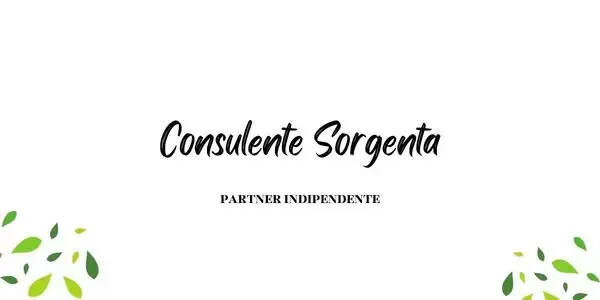 Consulente Sorgenta