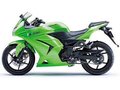 2008 Kawasaki Ninja 250R: Left