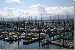 Marina1
