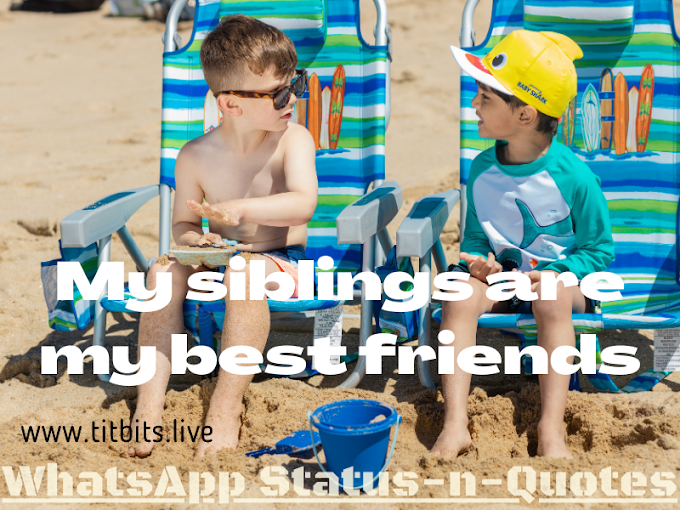 When is National Siblings Day | 100+ Unique Quotes and Messages for whatsapp Status 