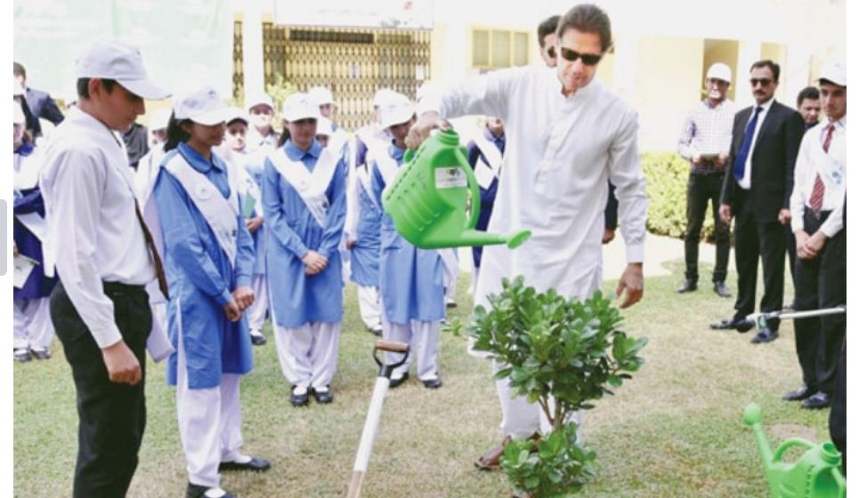 PM Imran urges youth to gear up for ‘biggest tree planting campaign in Pakistan’s history’