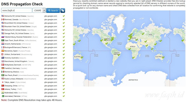 DNS Propagation Checker