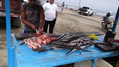Эквадор рыбный рынок. Манта. Разделка рыбы.