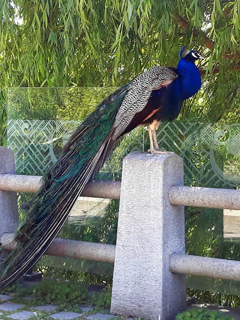 Jardin d’acclimatation paris jardin parc attractions