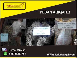 Aqiqah Qurban Bekasi,