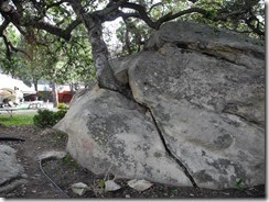 DSCN3835