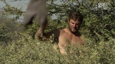 Dave Salmoni Shirtless on Into The Pride