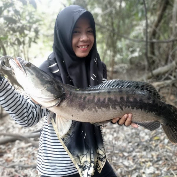 Lady Angler Kalahkan Toman Raksasa Liar