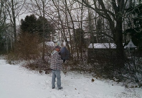 trapped squirrel 1-11-15a