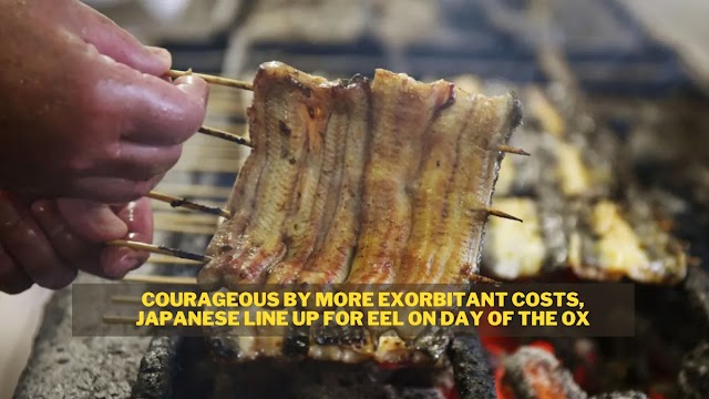 より法外な費用で勇気づけられて、日本人は土用の丼にウナギのために並んでいます