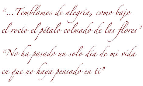 imagenes de amor con frases. frases de amor.