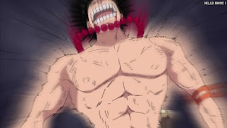 ワンピース アニメ バナロ島の決闘 325話 エース Portgas D. Ace | ONE PIECE Episode 325 Duel on Banaro Island