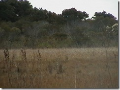 IMGA0813