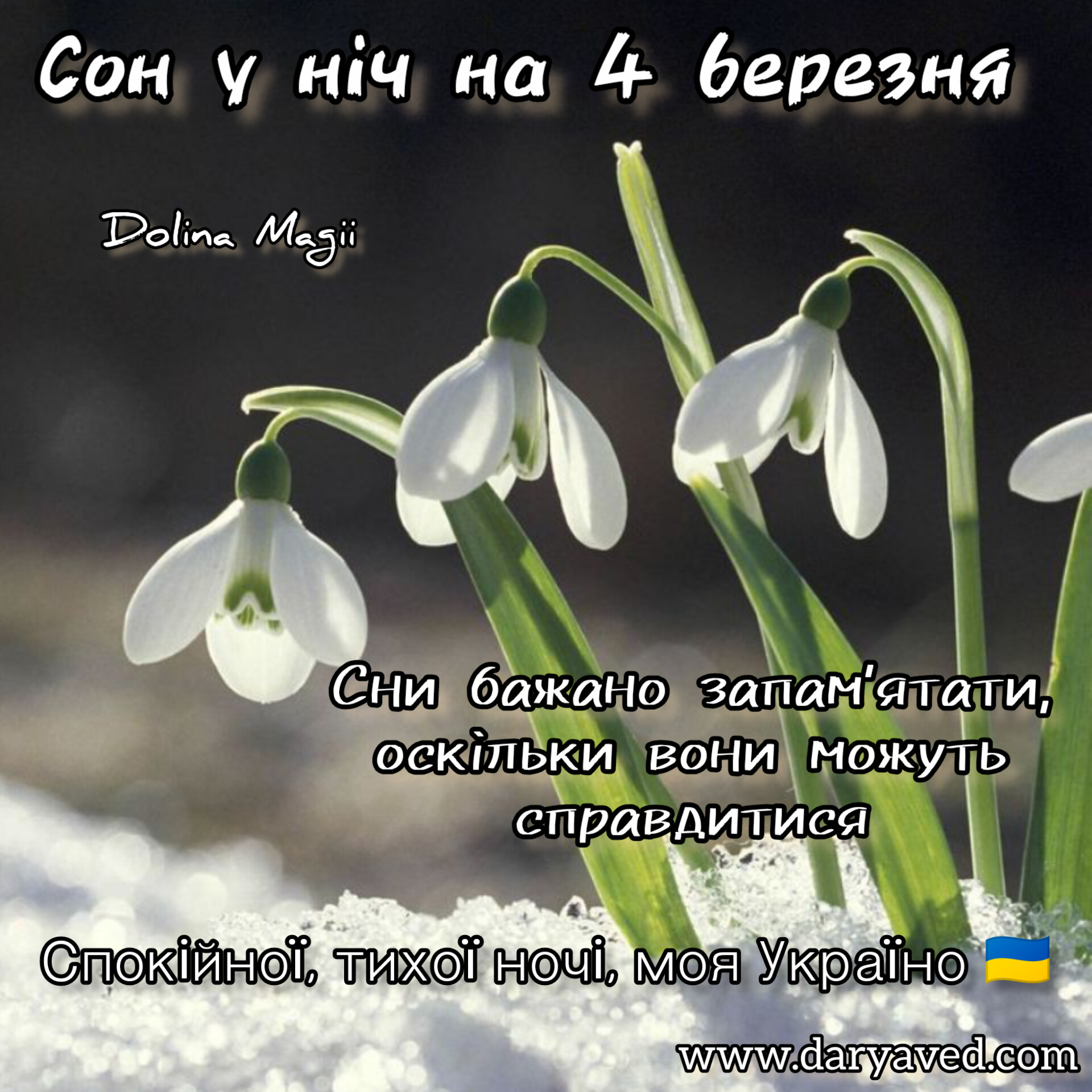 До весны 4 дня картинки. Подснежник Галантус голубой. Первые подснежники.