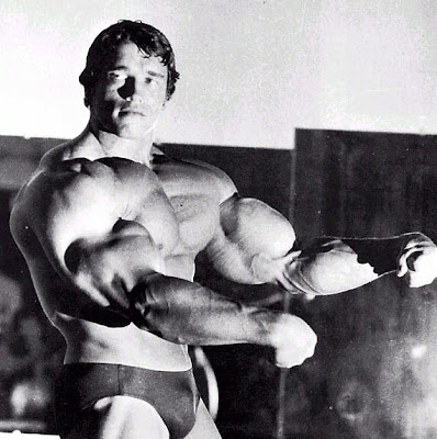 arnold schwarzenegger bodybuilding wallpaper. At school, Schwarzenegger was