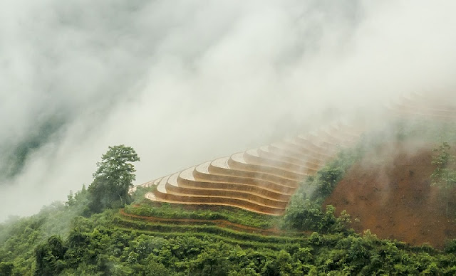 Sapa in July 1