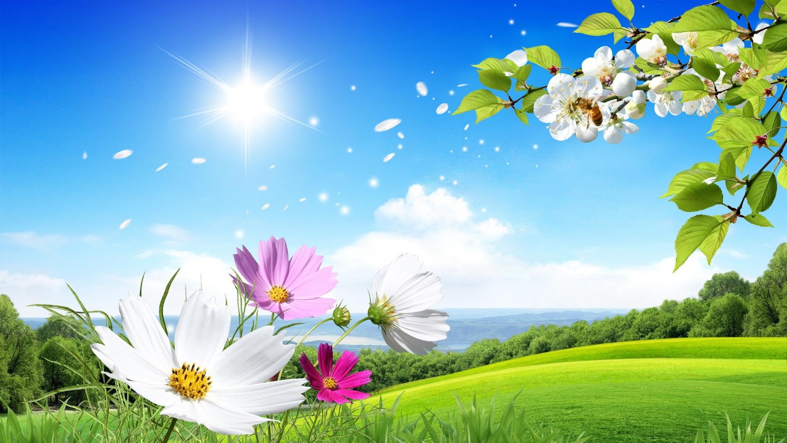 Download Natural Flowers Blurred Background Wallpaper for ...