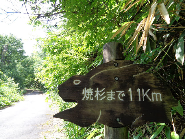 鎌倉山グリーンラインは1Km毎にうさぎの標識があります
