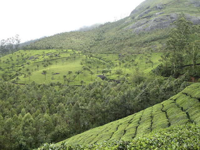 munnar