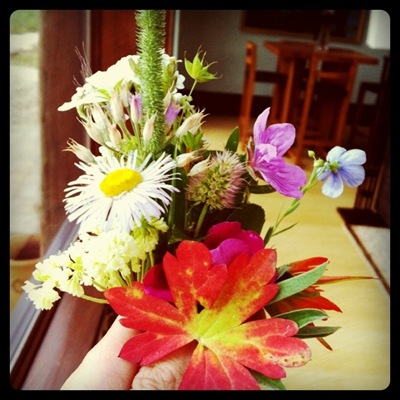 photo(13)