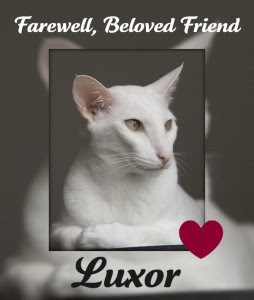 Luxor, rest in peace